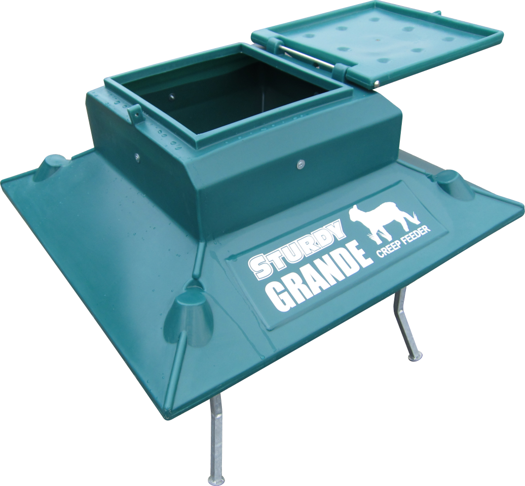 How Important Is Creep Feeding for Lamb Development? Sturdy Products