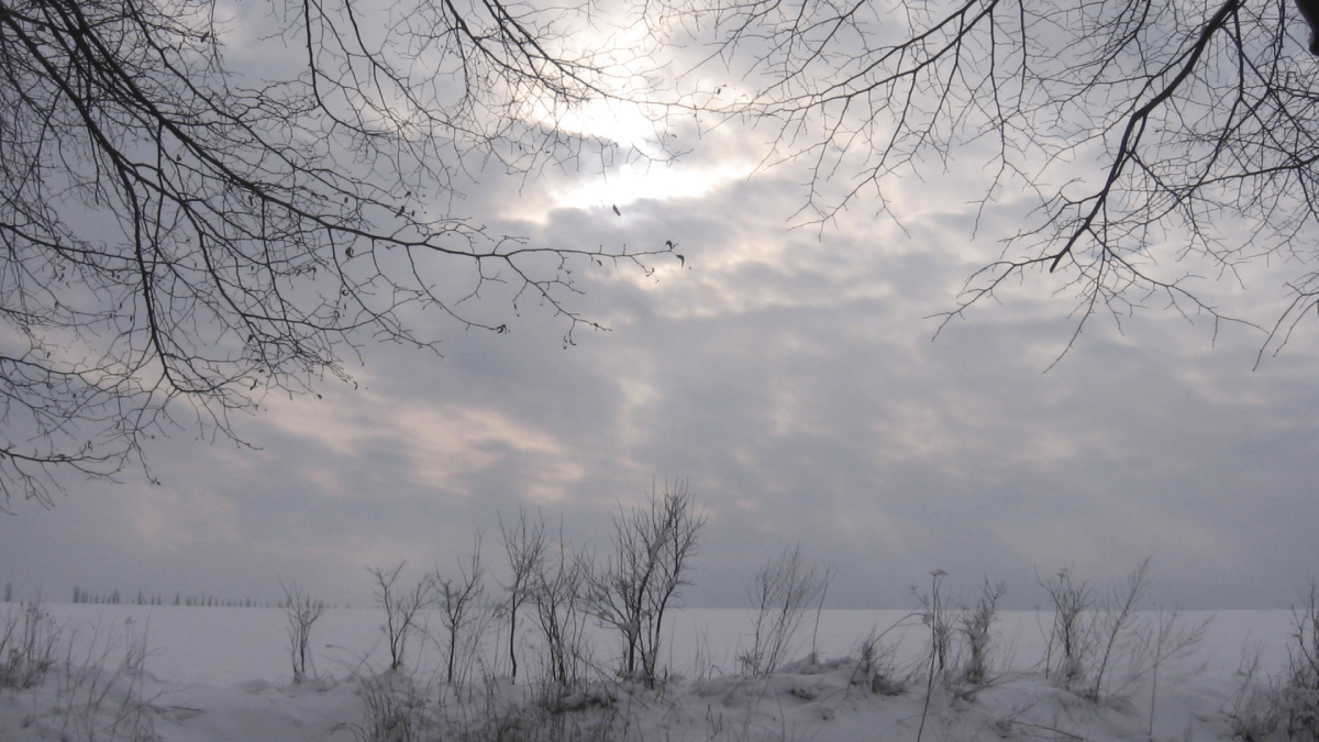 Check your oil tank now to avoid getting caught out this winter