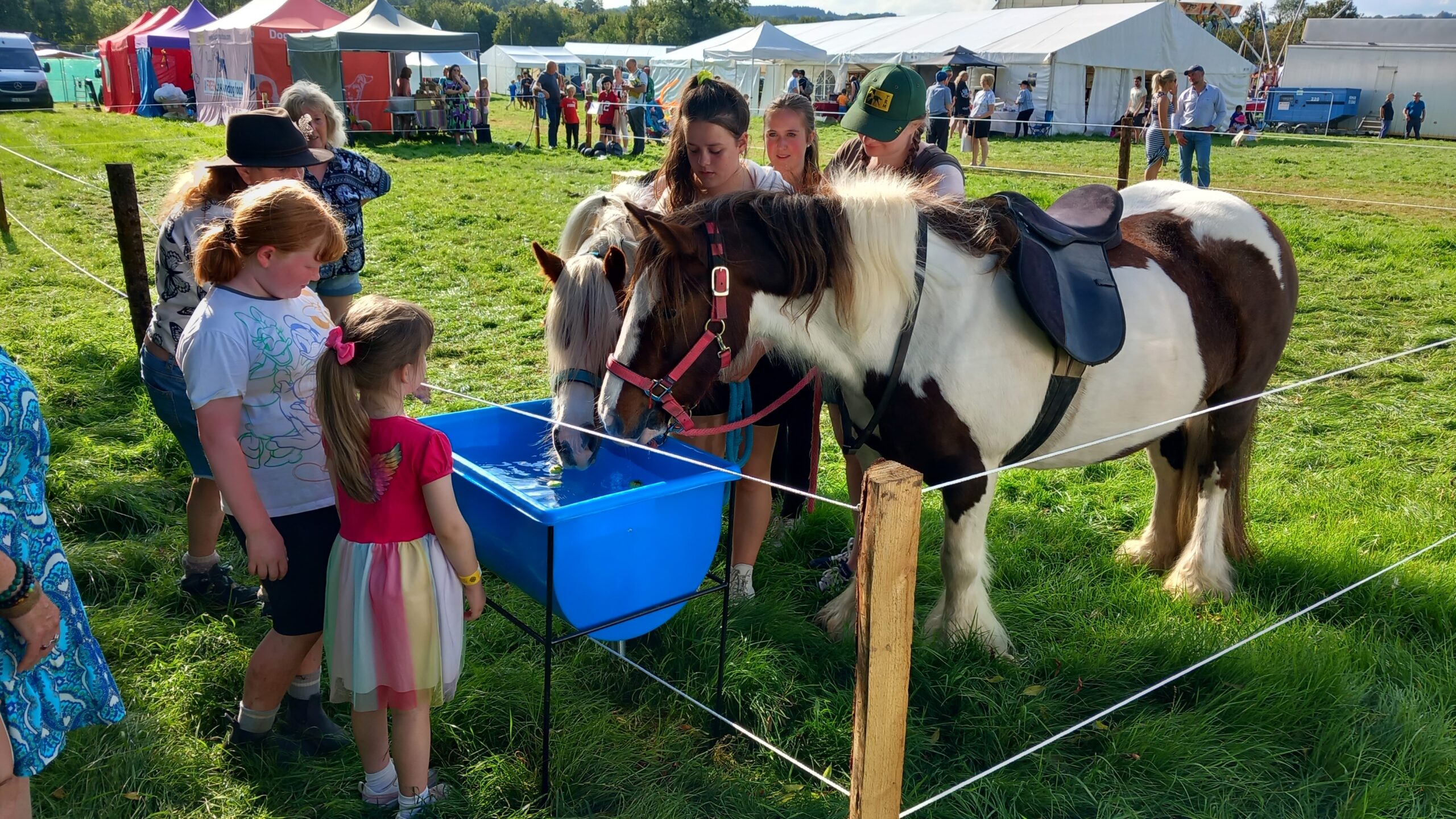 Sturdy Products Ltd at the 2023 International Sheepdog Trials