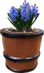 Sturdy Small Self Watering Planter